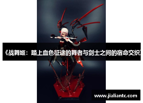 《战舞姬：踏上血色征途的舞者与剑士之间的宿命交织》